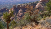 PICTURES/Bear Mountain Trail - Sedona/t_Middle Section - Scenic View4.JPG